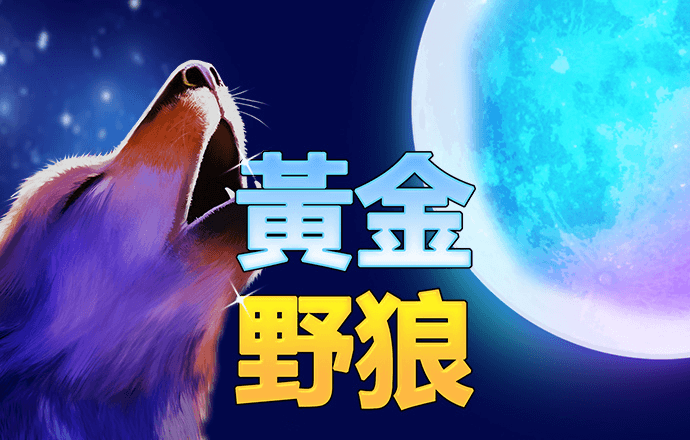 半岛综合下载